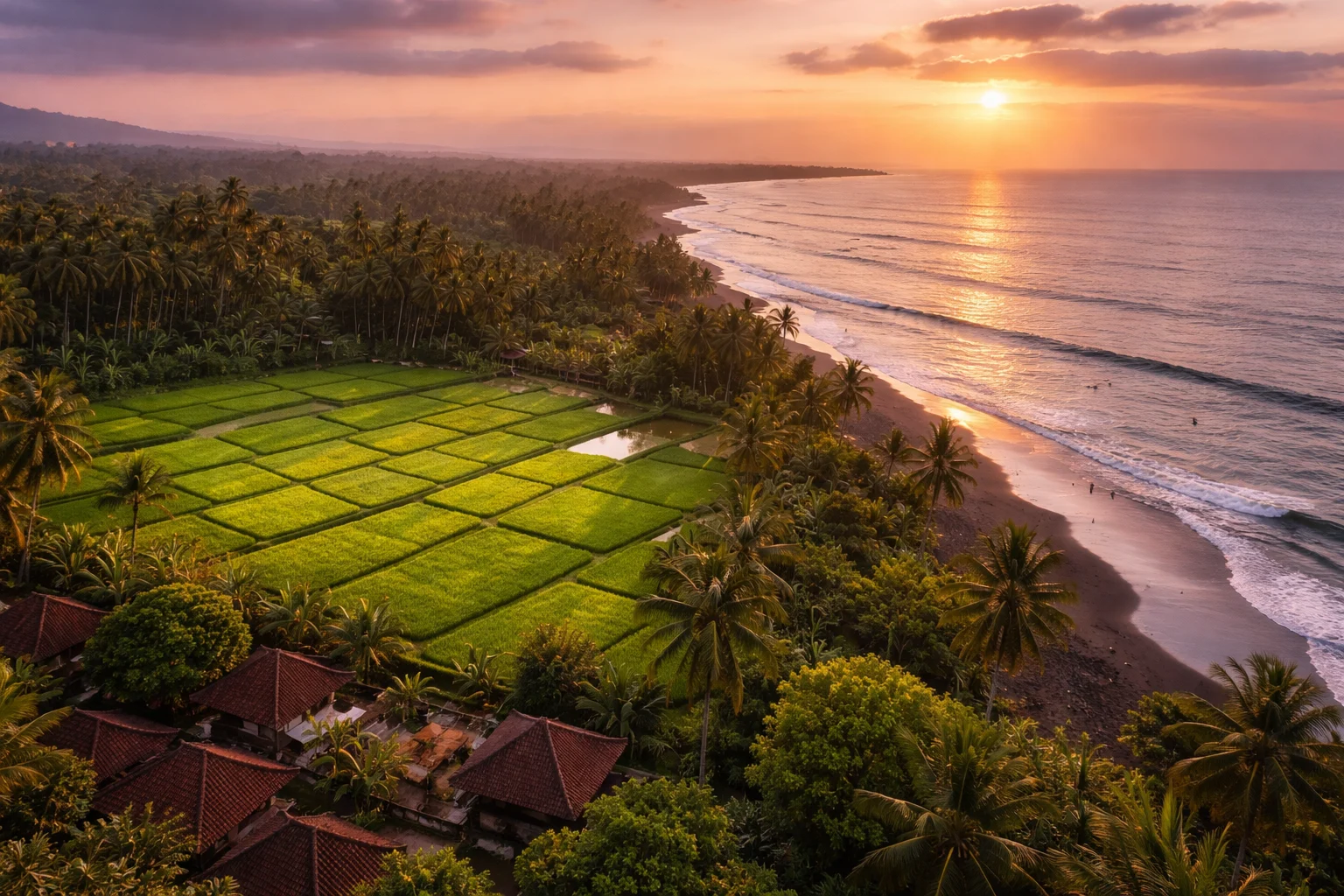 Aerial view of Canggu Bali coastline at dusk showing rice paddies meeting the beach with surfers in the water and traditional compound rooftops visible among coconut palms